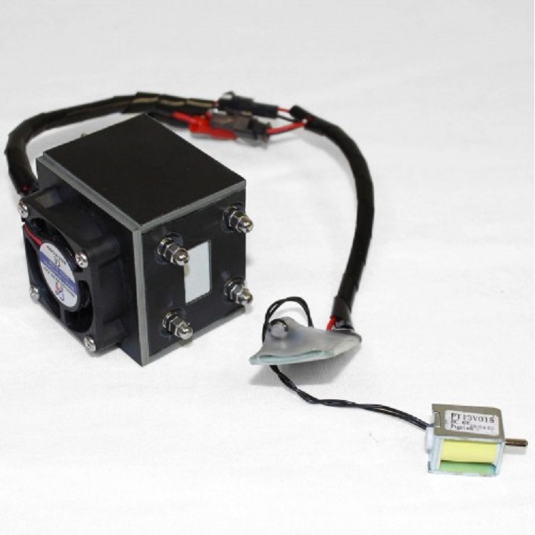Pem Hydrogen Cell Fuel Cell Engine Power 220w Водороден генератор
